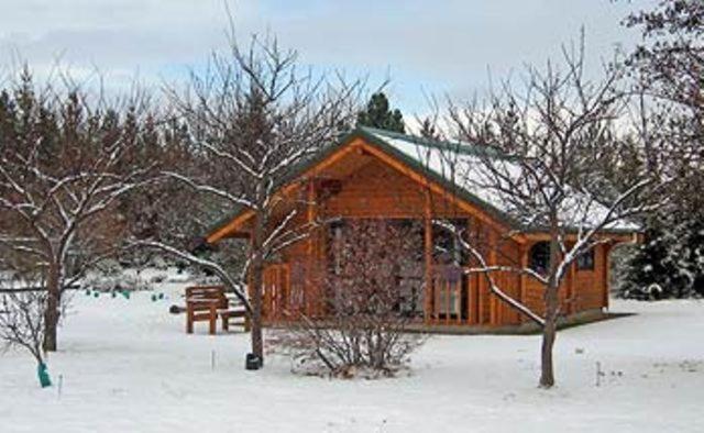 Central Chalets Ltd Alexandra Exterior photo
